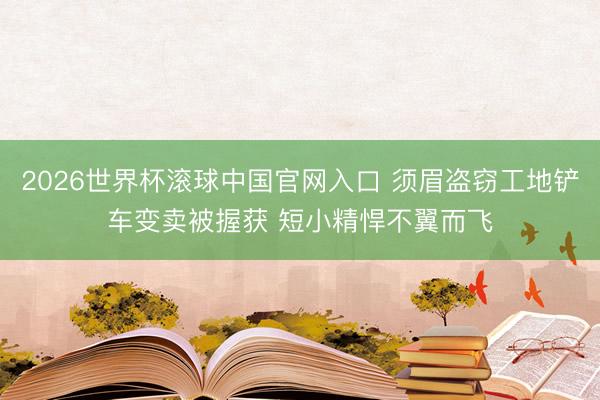 2026世界杯滾球中國官網(wǎng)入口 須眉盜竊工地鏟車變賣被握獲 短小精悍不翼而飛