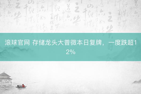 滾球官網(wǎng) 存儲(chǔ)龍頭大普微本日復(fù)牌，一度跌超12%