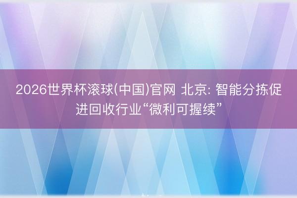 2026世界杯滾球(中國)官網 北京: 智能分揀促進回收行業“微利可握續”