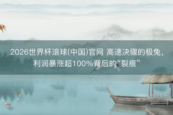 2026世界杯滾球(中國)官網 高速決驟的極兔，利潤暴漲超100%背后的“裂痕”