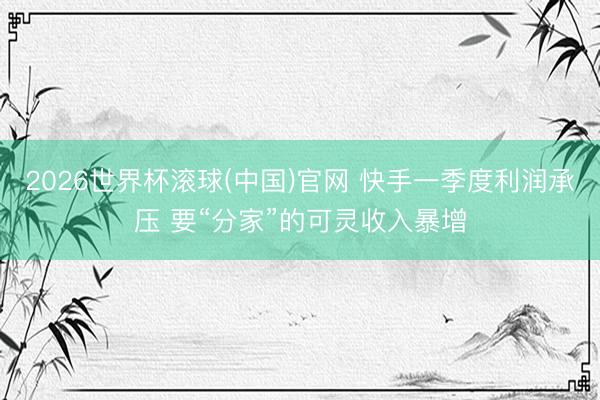 2026世界杯滾球(中國)官網 快手一季度利潤承壓 要“分家”的可靈收入暴增