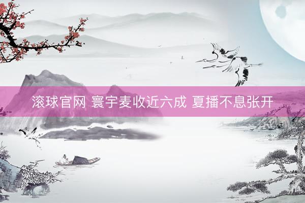 滾球官網(wǎng) 寰宇麥?zhǔn)战?夏播不息張開(kāi)