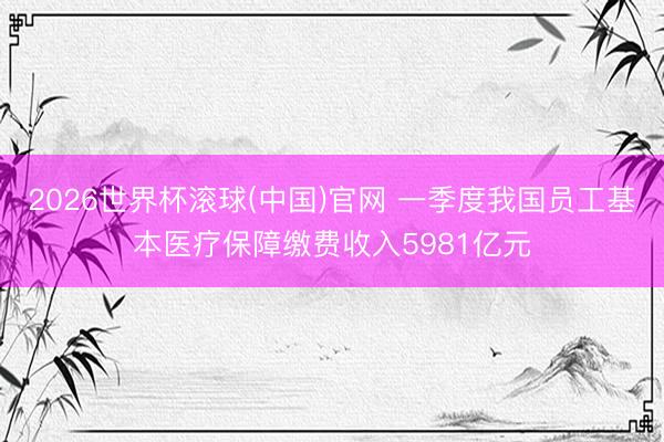 2026世界杯滾球(中國)官網 一季度我國員工基本醫療保障繳費收入5981億元