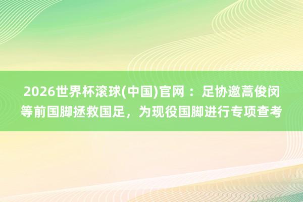 2026世界杯滾球(中國)官網 ：足協邀蒿俊閔等前國腳拯救國足，為現役國腳進行專項查考