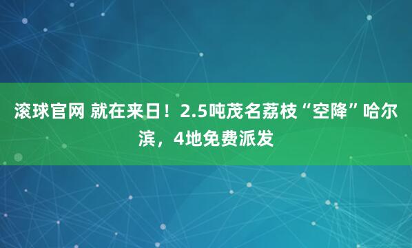 滾球官網 就在來日！2.5噸茂名荔枝“空降”哈爾濱，4地免費派發