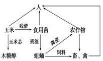 生態(tài)工程加環(huán)設(shè)計 以玉米芯生產(chǎn)木糖醇為例的效率與價值分析